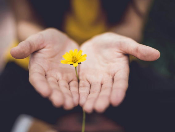 selective-focus-photography-of-woman-holding-yellow-petaled-flowers.jpg selective focus photography of woman holding yellow petaled flowers